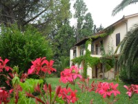 /album/oliveto/a2012-12-29-09-53-43-jpg/